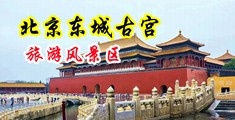 大胸自慰黑丝网站中国北京-东城古宫旅游风景区